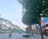 Bán nhà mặt phố Ngô Gia Tự, Long Biên, Hà Nội. DT 100m2, mặt tiền 4.5m, 4 tầng, cho thuê