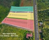 Mở bán 64 lô đất xã Lộc Quảng, Bảo Lâm Lâm Đồng - bảo lộc hills - master land propertyxvn