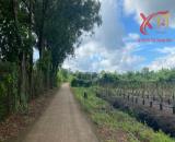 Bán đất vườn xã Bảo Quang TP Long Khánh Đồng Nai 5054m2 giá chỉ 800 triệu/sào