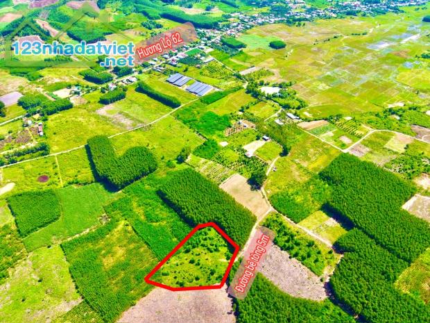 Bán đất làm vườn Diên Tân giá rẻ gần Hương Lộ 62 - 1