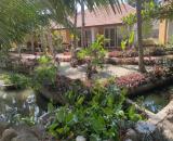 Cần sang nhượng Resort mặt tiền đường Nguyễn Đình Chiểu Hàm Tiến-Mũi Né