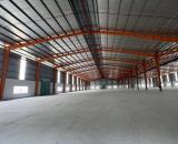 A31 Cho thuê kho xưởng mới xây 6.480m2 trong KCN Châu Đức, tỉnh Bà Rịa Vũng Tàu
