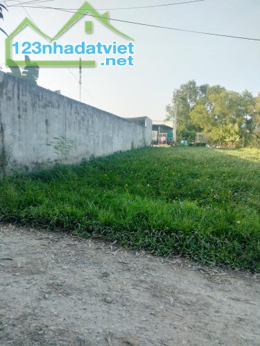 Bán đất XÂY TRỌ gần PCC Nguyễn Văn Lỗng. 5x33m. THỔ CƯ 100% - 4