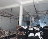 Đang Vừa Ở Vừa Làm Xưởng May 👉 Bán Nhà 1 Lầu 10 x 24m, Gần Chợ Tân Hiệp, Hóc Môn