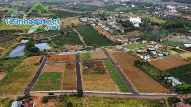 Bán đất Bảo Lộc gần đường cao tốc giá chỉ 450 triệu - 1