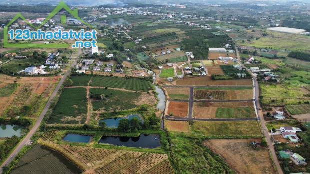 Bán đất Bảo Lộc gần đường cao tốc giá chỉ 450 triệu - 2
