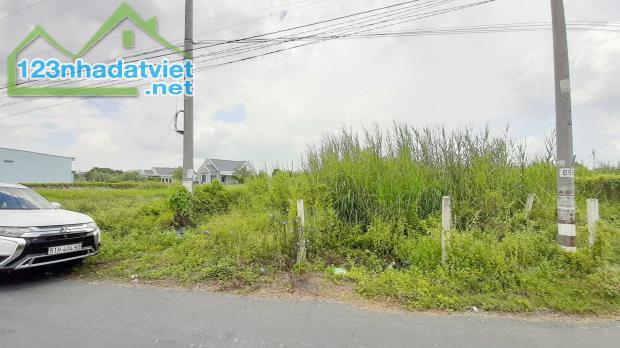 Bán miếng đất mặt tiền đường Trường Bình, Phước Lâm, Cần Giuộc. Giá 2,3 tỷ TL - 2