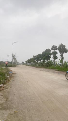 Bán đất đường 19,5m khu đất đấu giá Lai Sơn, Đồng Tâm, Vĩnh Yên. - 1