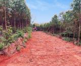 Bán lô đất 2345,7m2 tại xã Đan Hội, Lục Nam, Bắc Giang chỉ 650k/m2 sẵn sổ bao phí