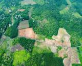 Bán đất Bình Phước gần Tp đồng xoài giá chỉ 200 triệu 1 nền