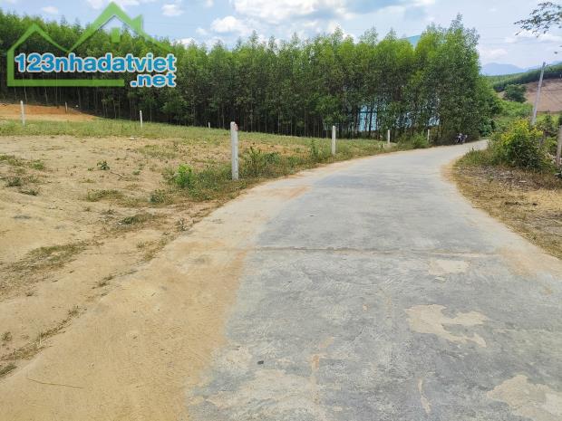Bán đất vườn Khánh Trung giá rẻ gần Tỉnh Lộ 8B - 2