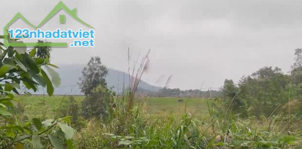 Chính chủ cần bán 1000m2 đất Thái Lai, Minh Trí,view 2 mặt hồ Ban Tiện - 1