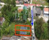 bán 2 lô đất ở đô thị Phú Vang, liền kề trung tâm chợ mà giá chỉ 3xx