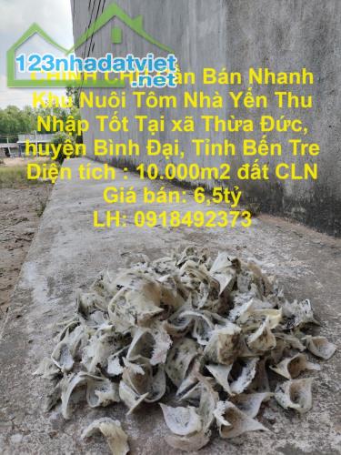 CHÍNH CHỦ Cần Bán Nhanh Khu Nuôi Tôm Nhà Yến Thu Nhập Tốt Tại Thừa Đức Bến Tre - 1