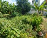 Bán đất Vườn Lài Phường An Phú Đông Quận 12, Đường 6m, giảm giá còn 6.x tỷ