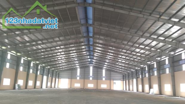 Cho thuê kho xưởng 12.000m2 đường Trần Đại Nghĩa, Bình Chánh, giá tốt - 3