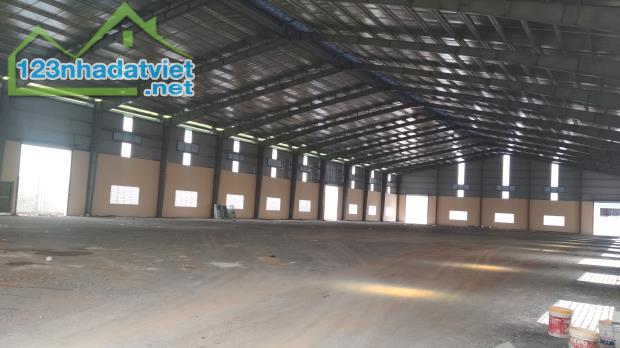 Cho thuê kho xưởng 12.000m2 đường Trần Đại Nghĩa, Bình Chánh, giá tốt - 2