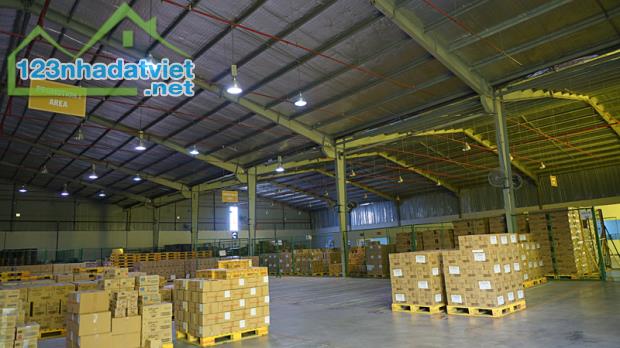 Cần cho thuê kho xưởng 4.000m2 Tân Thới Nhất 8 gần Phan Văn Hớn Q.12 - 3