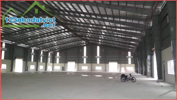 Cho thuê nhà xưởng mới 4.300m2 đường Trần Đại Nghĩa, Bình Chánh, giáp KCN Lê Minh Xuân - 3