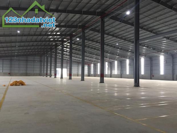 A11 Cho thuê kho xưởng 5000m2 đường QL51, gần KCN Mỹ Xuân B1 , Phú Mỹ, Bà Rịa Vũng Tàu