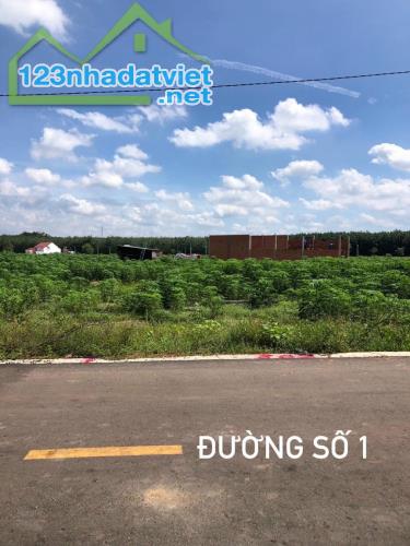 BÁN LỖ 380M2 ĐẤT THỔ CƯ CẠNH SÂN BAY KCN TÂN QUAN, ĐƯỜNG NHÁNH QUỐC LỘ GIÁ 386 TRIỆU - 2