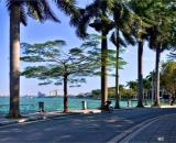 SIÊU ĐỈNH, ĐẤT VIEW Hồ, Tô Ngọc Vân. MB 220m². Chào 59 tỷ.