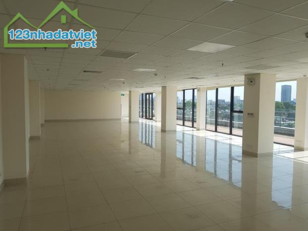 120m2 - 200m2 VP cho thuê mặt phố Bùi Thị Xuân, Triệu Việt Vương, Quận Hai Bà Trưng - 1