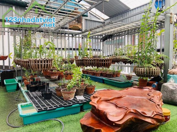 Bán nhà Đào Đất Hàng Bè lô góc mê ly đẹp miên man cực hiếm