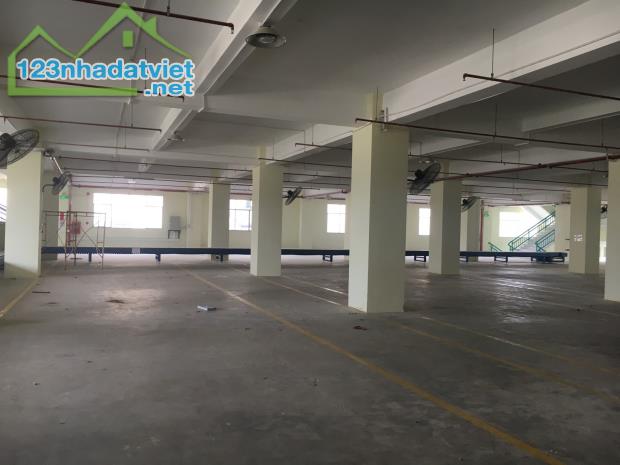 Cho thuê kho xưởng cao tầng 15.000m2 gần KCN Thịnh Phát, Long An - 2