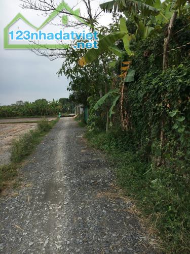 Bán đất lúa  2500m2 (55x47m) giá 6 tỷ 325 triệu, Xã Hòa Khánh Đông, Huyện Đức Hòa,Long An. - 5