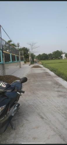 Bán đất lúa  2500m2 (55x47m) giá 6 tỷ 325 triệu, Xã Hòa Khánh Đông, Huyện Đức Hòa,Long An. - 4