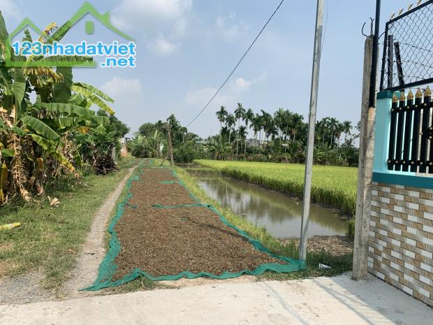 Bán đất lúa  2500m2 (55x47m) giá 6 tỷ 325 triệu, Xã Hòa Khánh Đông, Huyện Đức Hòa,Long An. - 2