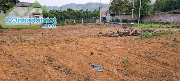 Bán đất thôn Dân Lập, xã Yên Bình, Thạch Thất, HN, ~1000m2, mặt tiền 30m, đường ô tô, giá - 1