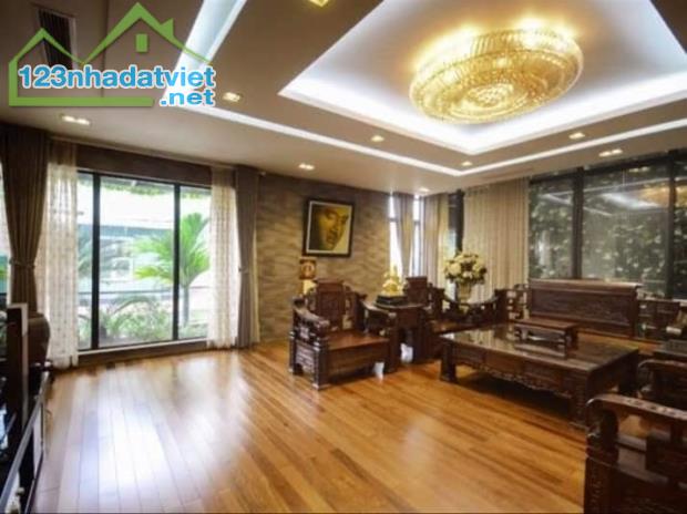 Bán Biệt Thự Việt Hưng, Long Biên, Hàng xóm Vinhomes RiverSide. Kinh doanh - 2