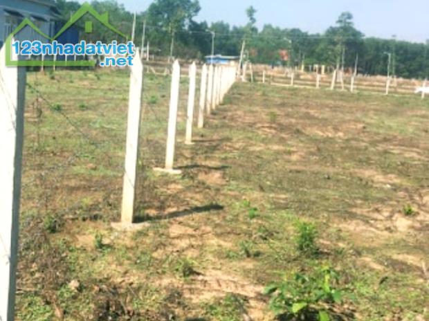 bán đất 2.650m2 thổ cư đất thị trấn Đức Hòa, Long An, SHR đường xe hơi giá 20 tỷ - 3