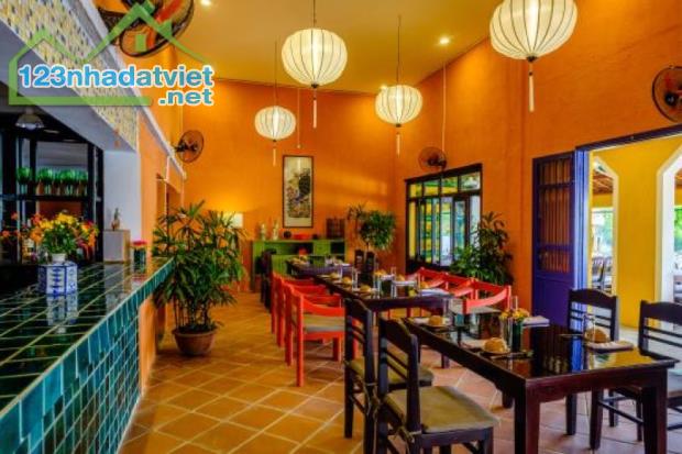 💥 Bán nhà Mặt phố cổ Hàng Bè, Hoàn Kiếm, 42m2 2T MT 4.5m, Chỉ 38 Tỷ 💥 - 3
