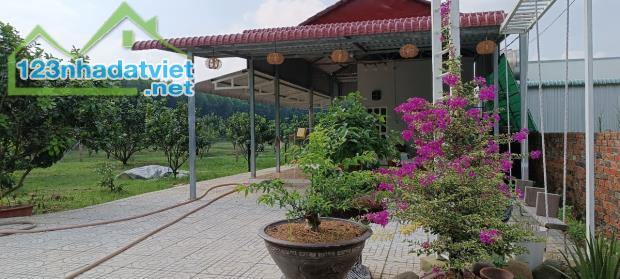 Vườn Bười đường xe tài Bình Lợi, Vĩnh Cửu, Đồng Nai, 6600m2, giá 10 tỷ 500.