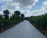 🎀Bán đất 5x33m bìa riêng Giá 390 triệu thôn 2 gần ngay ủy ban Cư Suê Cư Mgar 🍀
