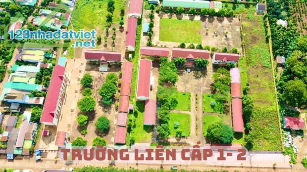 Bán lô đất đấu giá gần uỷ ban xã, chợ Phú Lộc - Krông Năng - 2