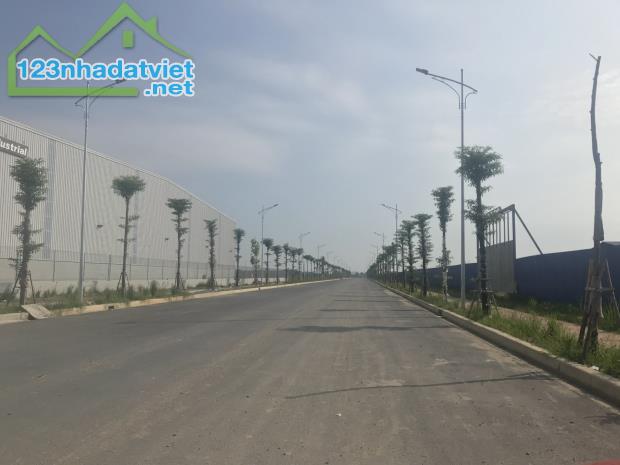 Bán lô 30.000m2  khu Công nghiệp Thuận Thành – Bắc Ninh, bàn giao ngay. - 1