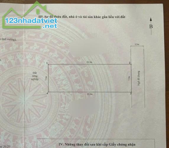 Bán lô đất mặt ngõi diện tích 167M ngang 7,5m Đằng Hải Hải An - 2