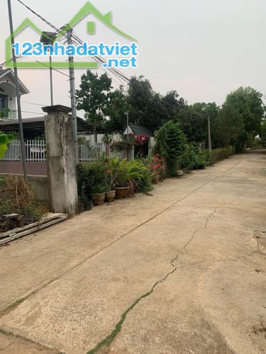 🎀Bán đất 10x50m hẻm Nguyễn Cơ Thạch gần công viên thành nhất Giá 2tỷ500tr Buôn Ma Thuột - 2