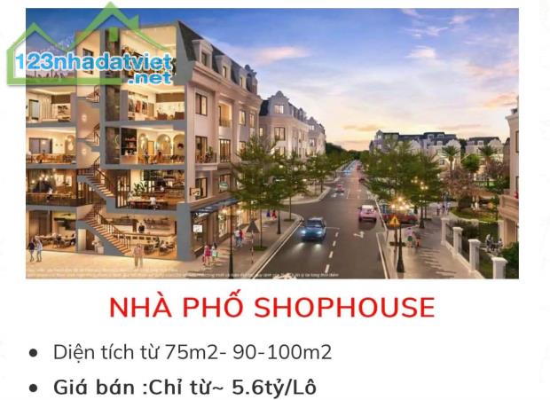 Tiềm năng phát triển từ vị trí Vinhomes Móng cái -Vinhomes Golden Avenue