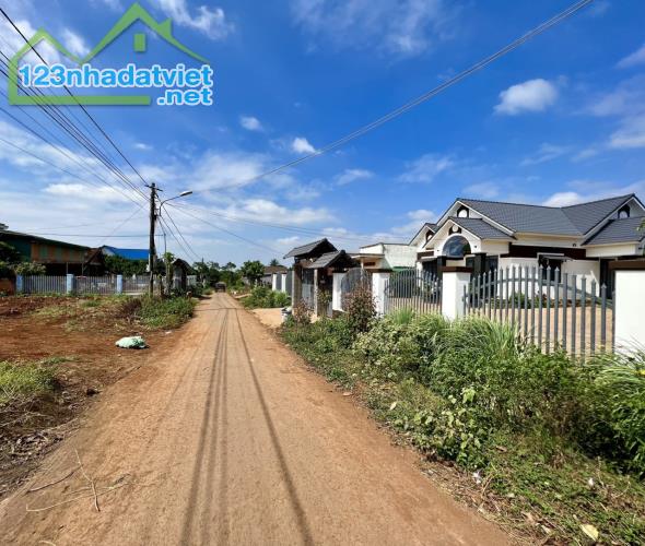 ♥️Bán đất góc 2 mặt tiền 11x25m đường nhựa tại Buôn Kbu thôn 10 Hoà Khánh Buôn Ma Thuột 99 - 1