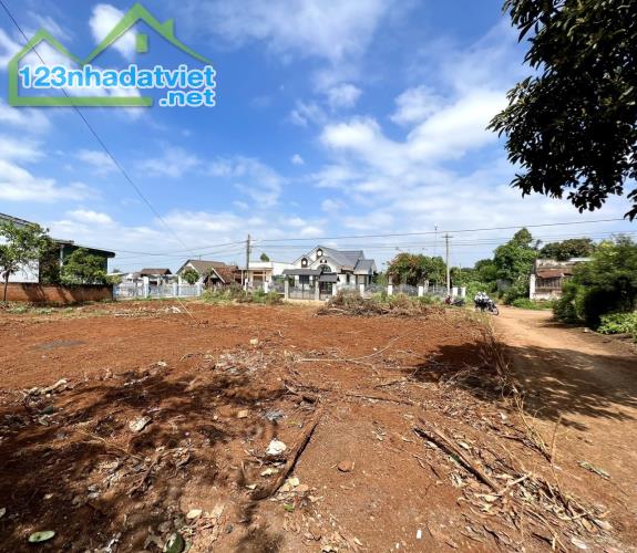 ♥️Bán đất góc 2 mặt tiền 11x25m đường nhựa tại Buôn Kbu thôn 10 Hoà Khánh Buôn Ma Thuột 99