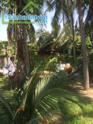 Hạ giá thấp nhất-Đất mặt tiền Nguyễn Thanh Hùng-Mũi Né-Phan Thiết-DT 1.780m2. - 1