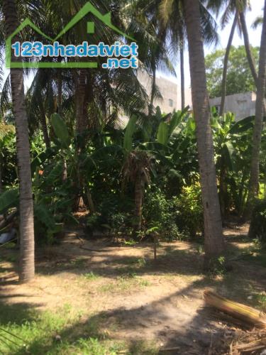 Hạ giá thấp nhất-Đất mặt tiền Nguyễn Thanh Hùng-Mũi Né-Phan Thiết-DT 1.780m2.