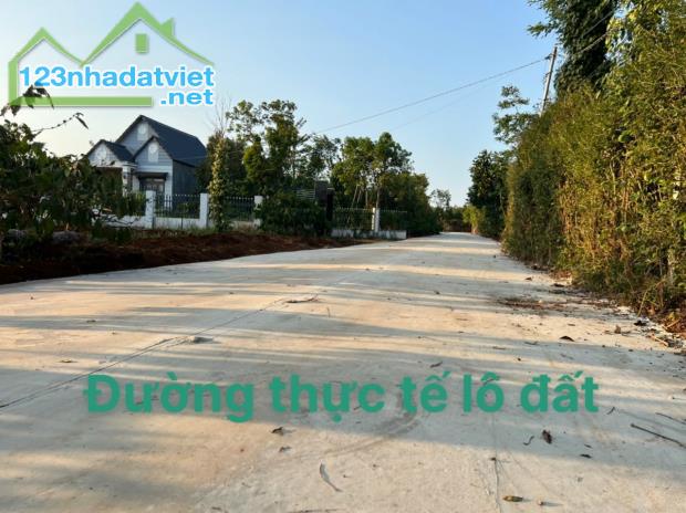 🎀Bán 4 lô đất 5x50m thổ cư hẻm Quốc lộ 26 Hoà Đông Buôn Ma Thuột Giá 485triệu1 lô - 3