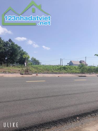 KẸT TIỀN TÔI BÁN 2400M2 ĐẤT THỔ CƯ SỔ HỒNG RIÊNG CẠNH CHỢ DÂN CƯ ĐÔNG GIÁ 570 TRIỆU - 2