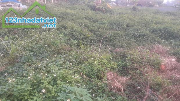 THỬA ĐẤT VÀNG DUY NHẤT CÒN SÓT LẠI Ở TÂY HỒ,  DT 258M2, MT 8,6M, GIÁ 73,6 TỶ.